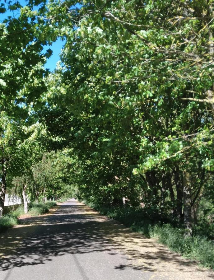 Atico Rosita En Camino De Santiago Apartment Синсо де Лимия Екстериор снимка