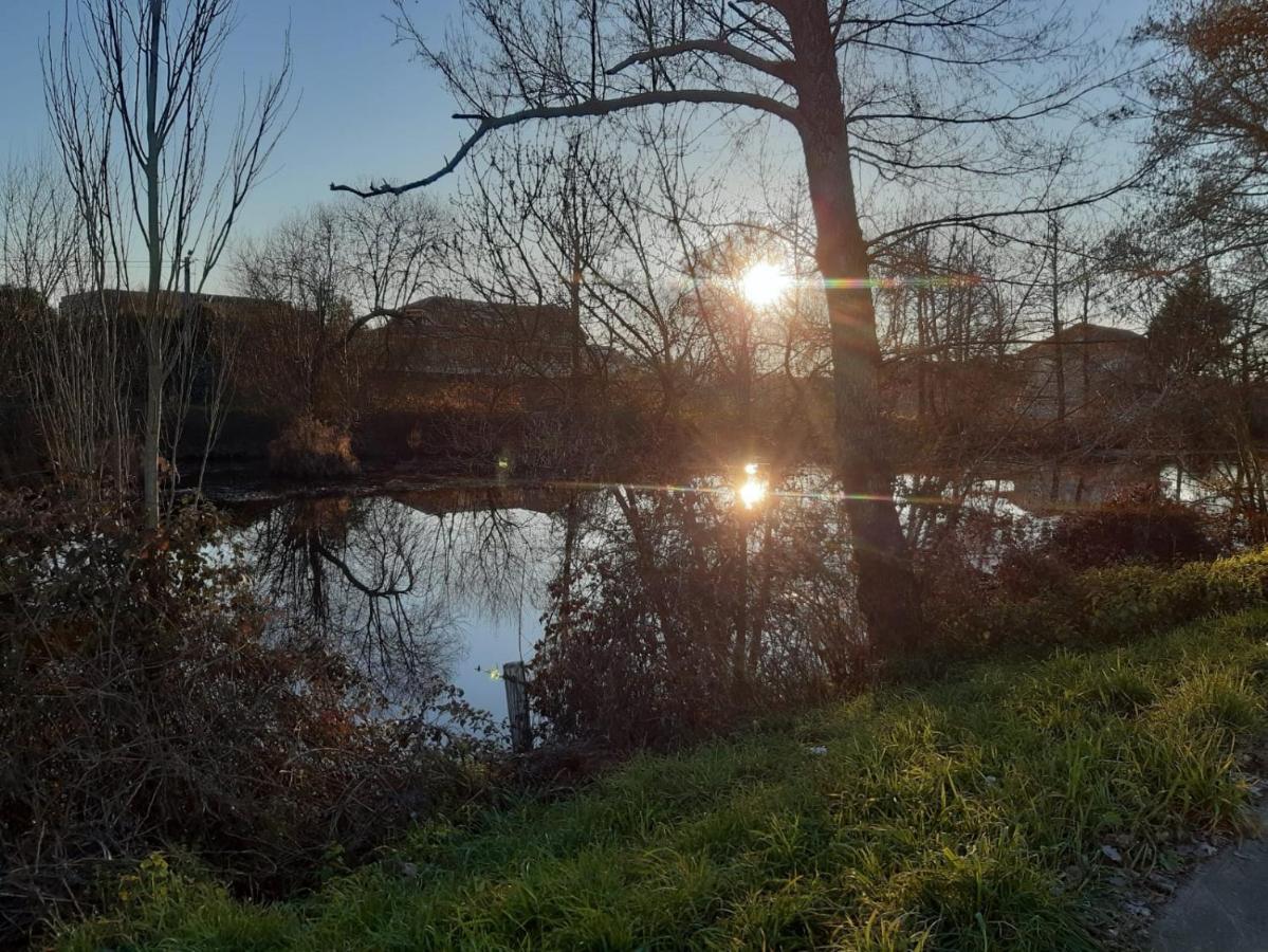Atico Rosita En Camino De Santiago Apartment Синсо де Лимия Екстериор снимка